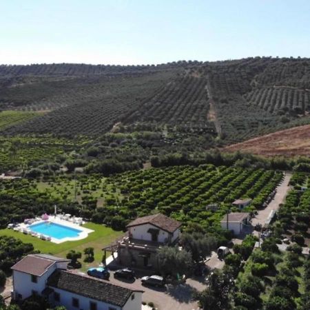 Agriturismo Trappeto Vecchio San Demetrio Corone エクステリア 写真