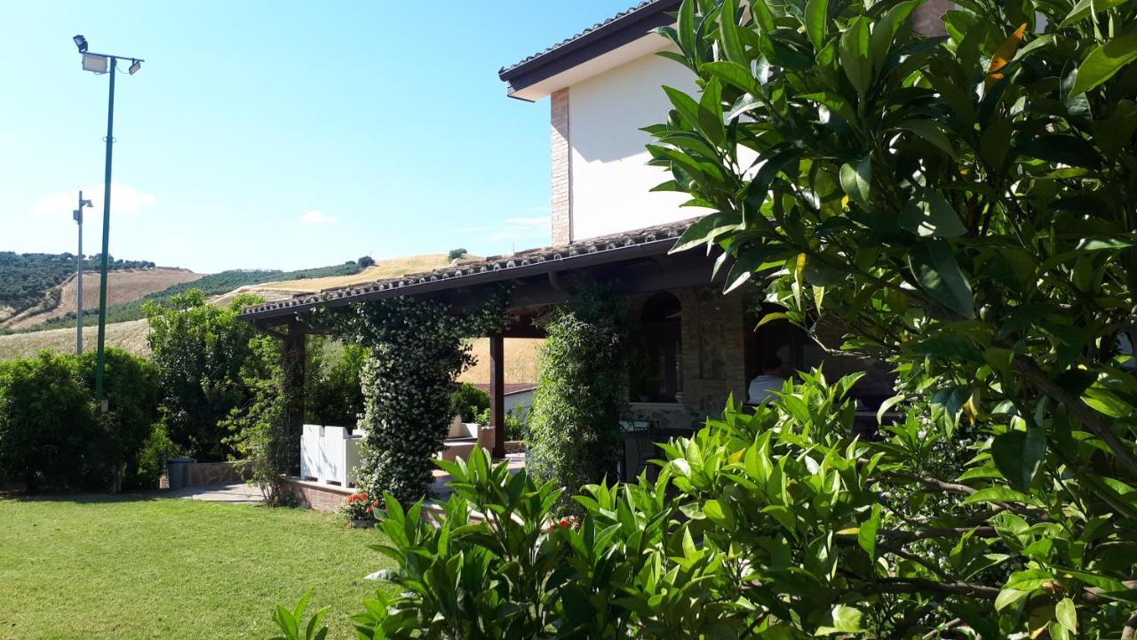Agriturismo Trappeto Vecchio San Demetrio Corone エクステリア 写真