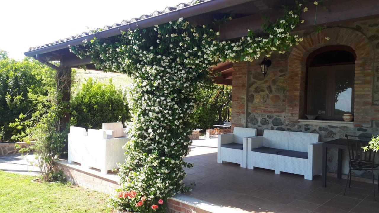 Agriturismo Trappeto Vecchio San Demetrio Corone エクステリア 写真
