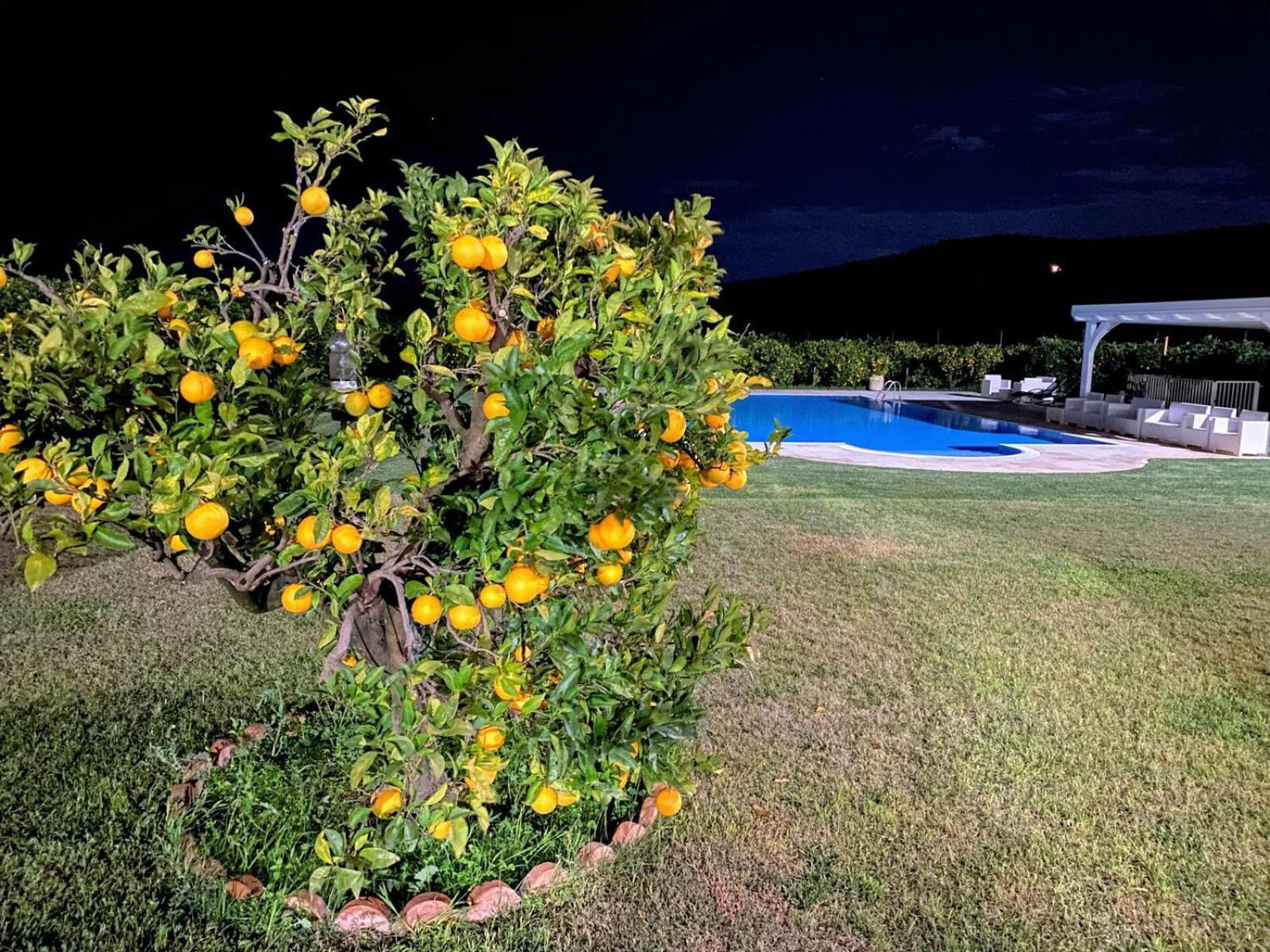 Agriturismo Trappeto Vecchio San Demetrio Corone エクステリア 写真