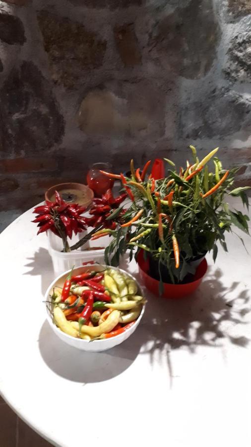 Agriturismo Trappeto Vecchio San Demetrio Corone エクステリア 写真