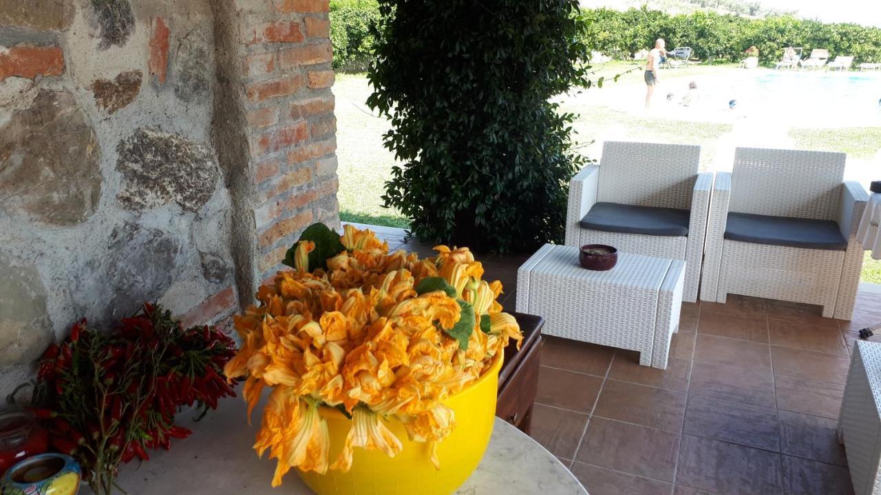 Agriturismo Trappeto Vecchio San Demetrio Corone エクステリア 写真