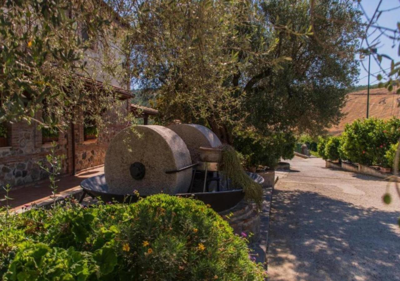 Agriturismo Trappeto Vecchio San Demetrio Corone エクステリア 写真