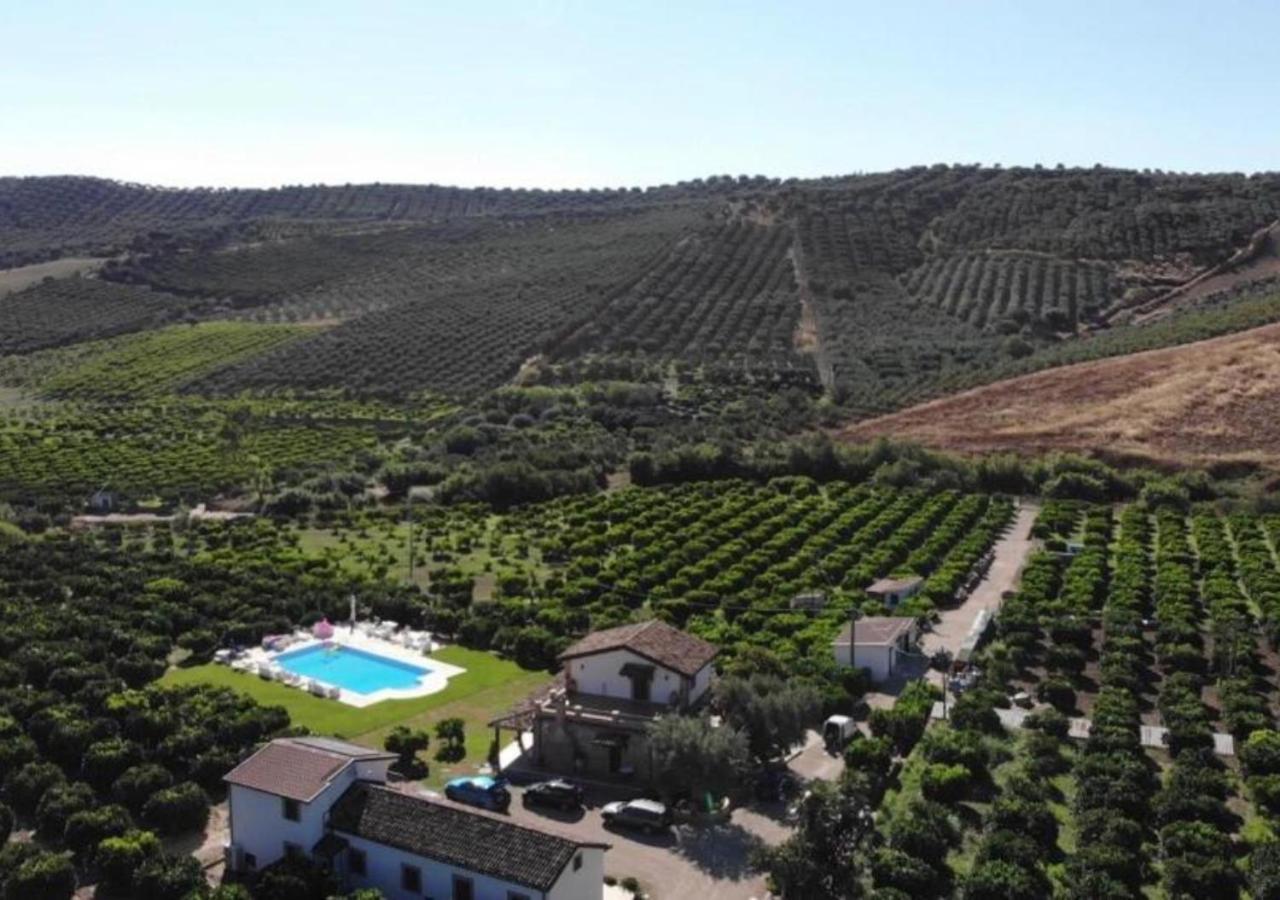 Agriturismo Trappeto Vecchio San Demetrio Corone エクステリア 写真