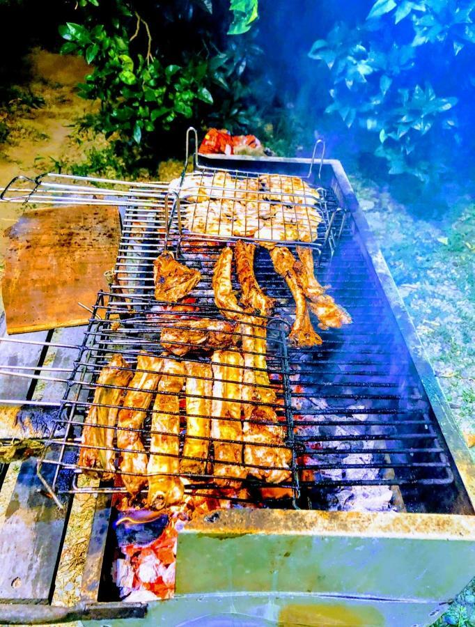 Agriturismo Trappeto Vecchio San Demetrio Corone エクステリア 写真